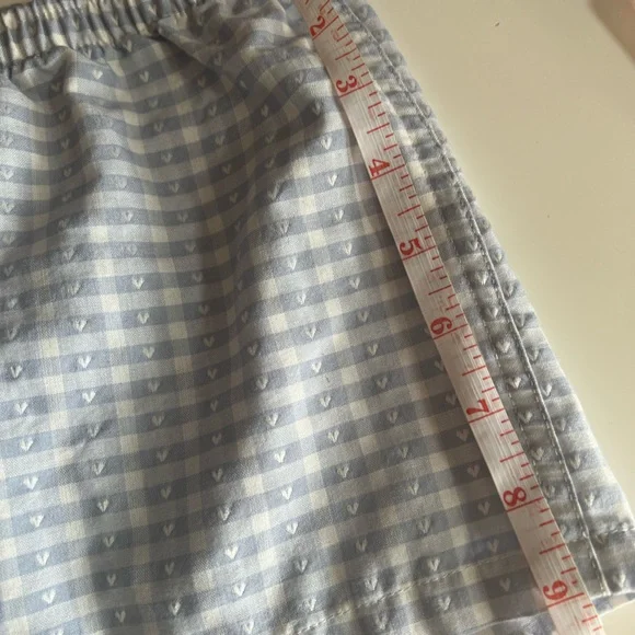 Brandy Melville One Size Light Blue Keira Gingham Shorts - Picture 7 of 7